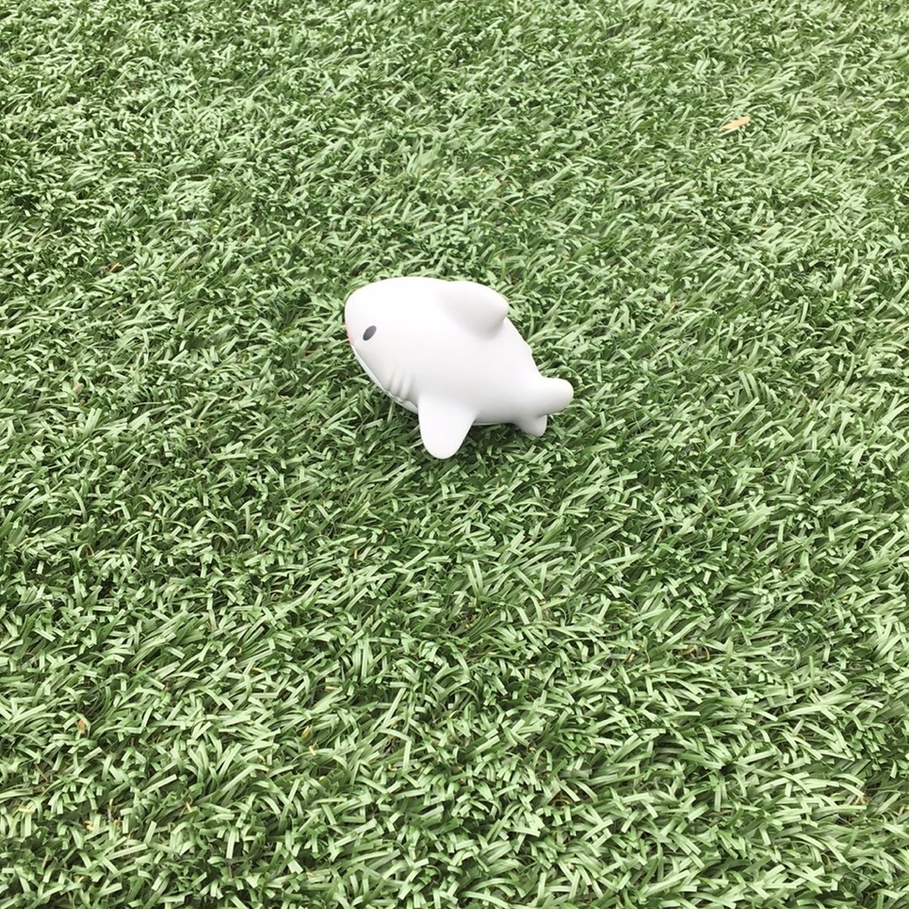 Meet your Posher, Madelaine